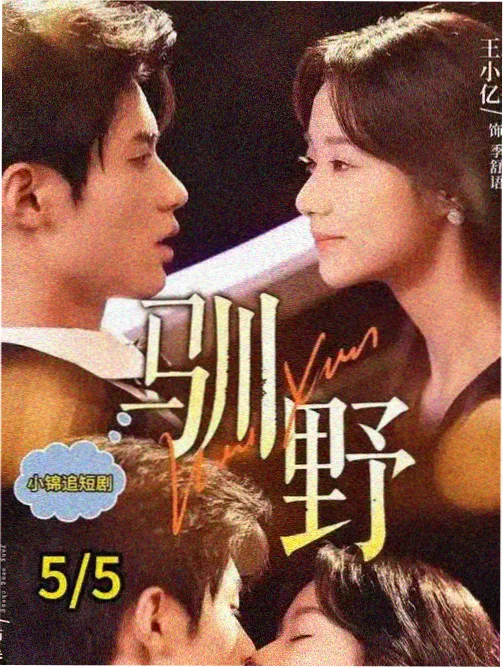 普通翠鸟鸟类图片